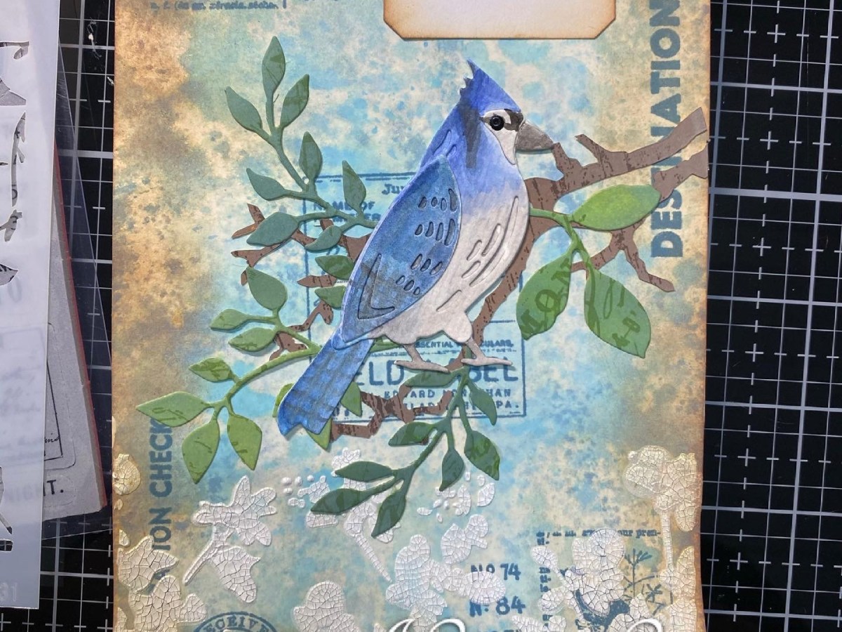 Distractions with Nature and&nbsp;Birding