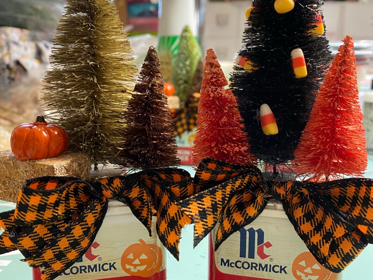 Pumpkin Spice and all things&nbsp;Nice!